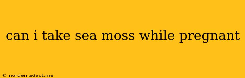 can i take sea moss while pregnant