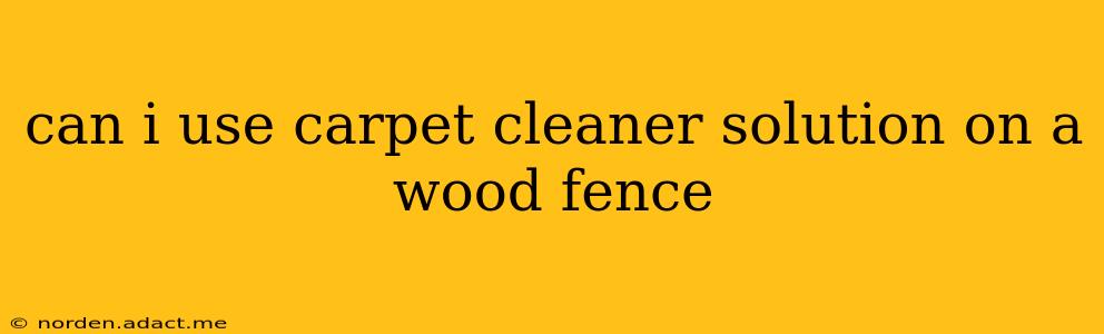 can i use carpet cleaner solution on a wood fence