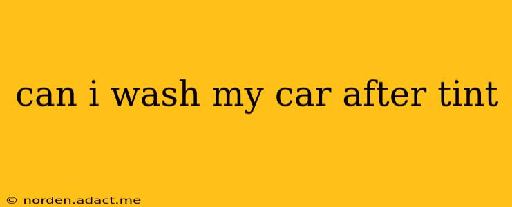 can i wash my car after tint