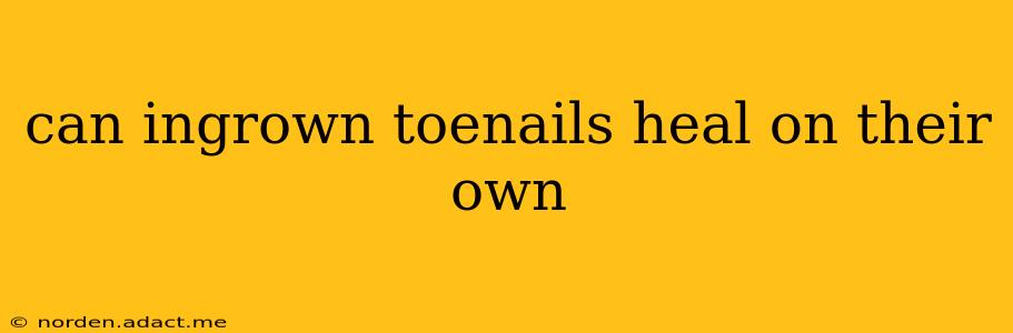 can ingrown toenails heal on their own