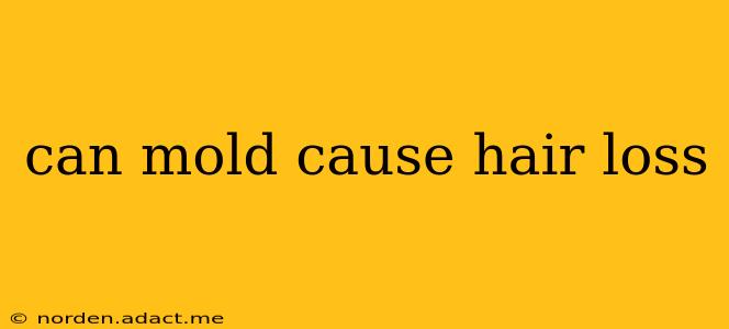 can mold cause hair loss