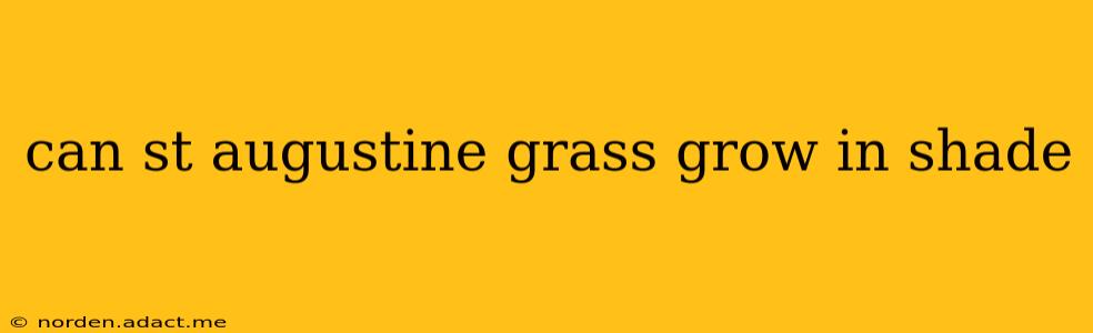 can st augustine grass grow in shade