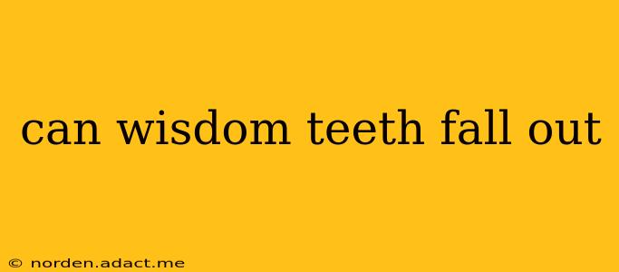 can wisdom teeth fall out