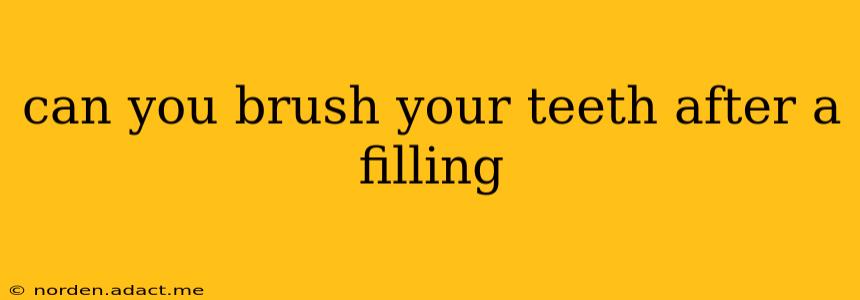 can you brush your teeth after a filling