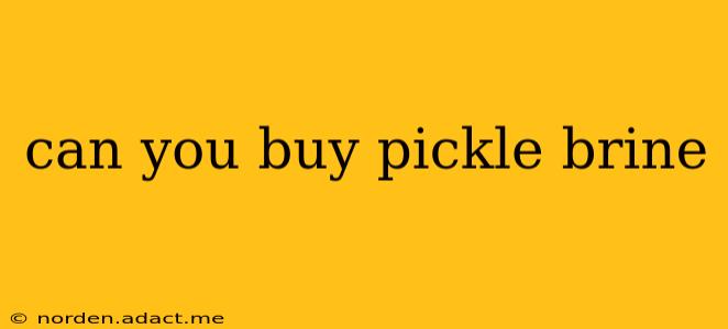 can you buy pickle brine