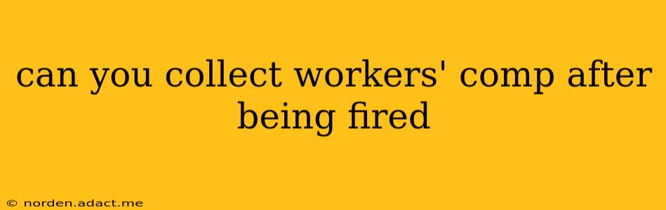 can you collect workers' comp after being fired