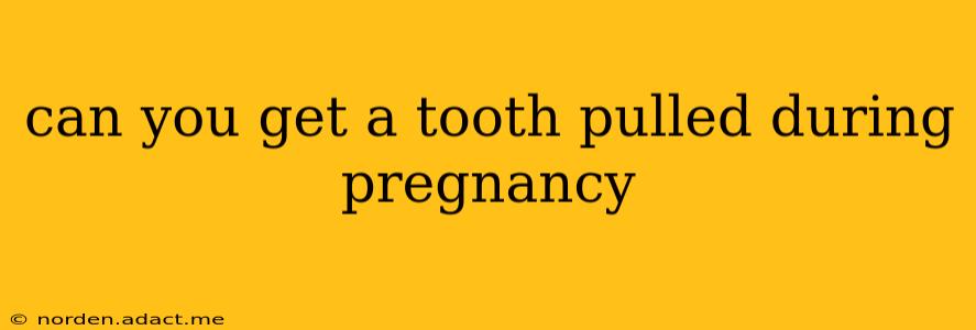 can you get a tooth pulled during pregnancy