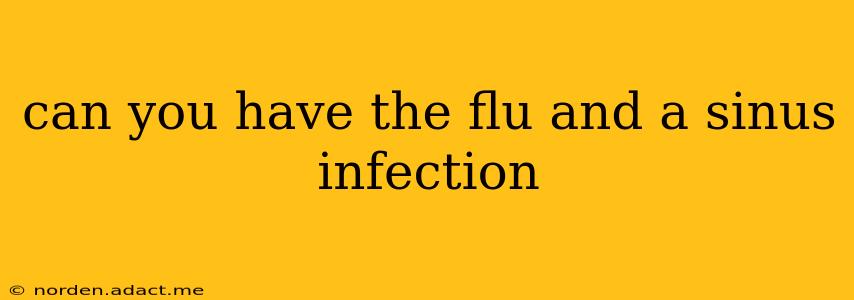 can you have the flu and a sinus infection