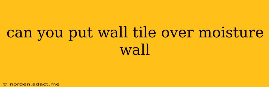 can you put wall tile over moisture wall
