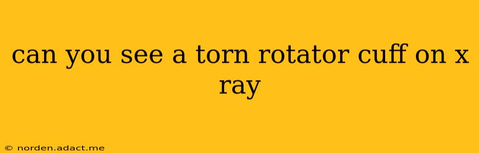 can you see a torn rotator cuff on x ray