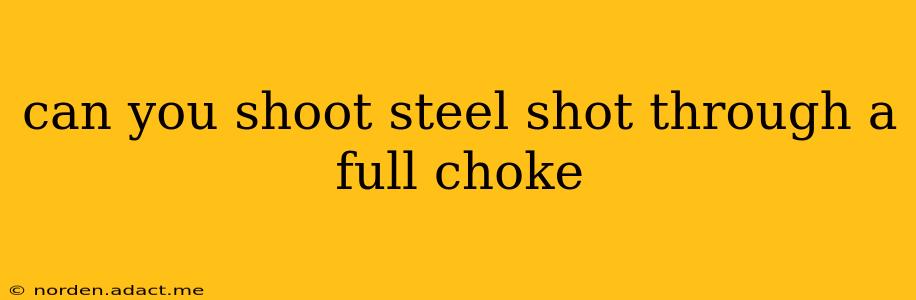 can you shoot steel shot through a full choke