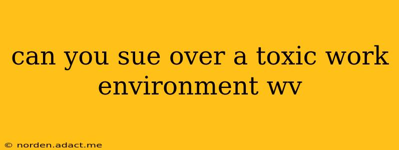 can you sue over a toxic work environment wv