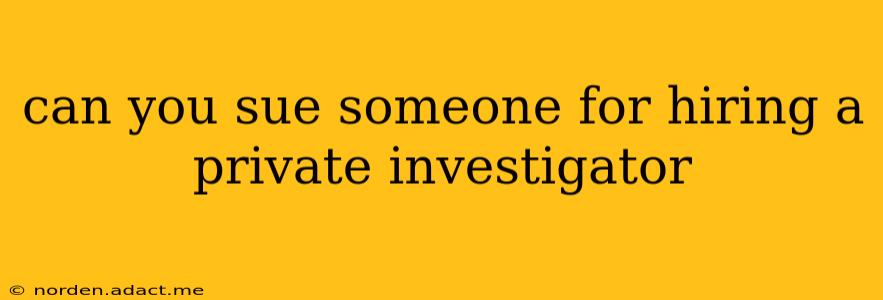can you sue someone for hiring a private investigator