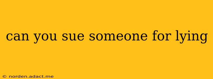 can you sue someone for lying