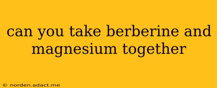 can you take berberine and magnesium together
