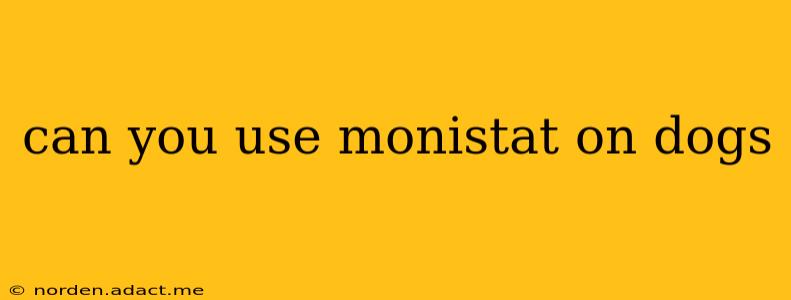 can you use monistat on dogs