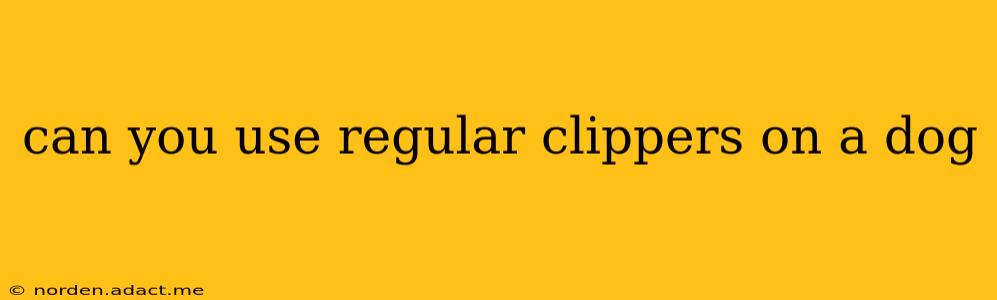 can you use regular clippers on a dog