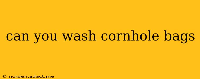 can you wash cornhole bags
