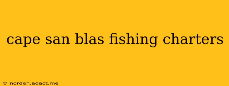 cape san blas fishing charters