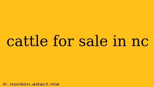 cattle for sale in nc