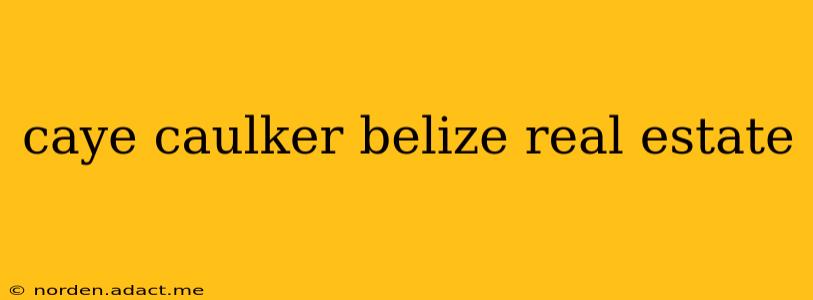 caye caulker belize real estate