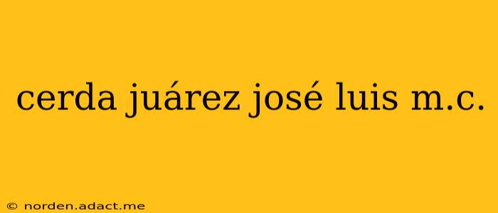 cerda juárez josé luis m.c.