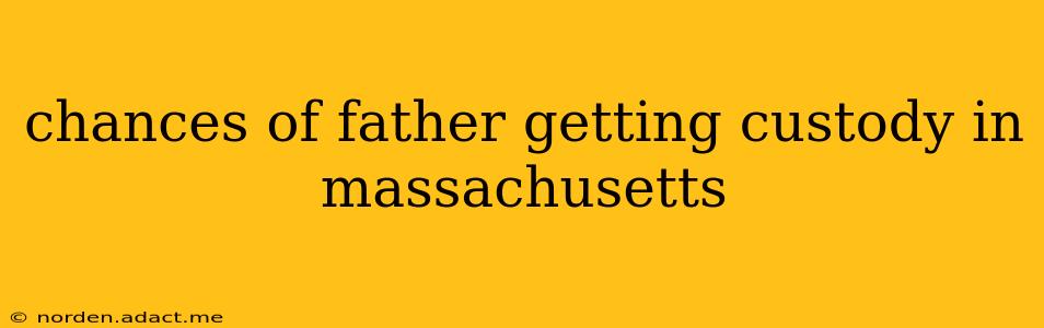 chances of father getting custody in massachusetts
