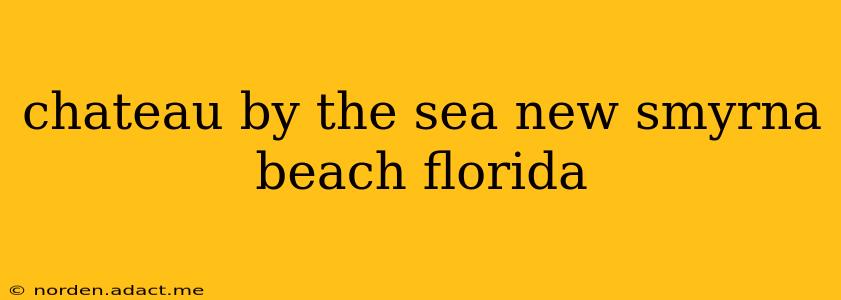 chateau by the sea new smyrna beach florida