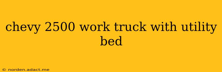 chevy 2500 work truck with utility bed