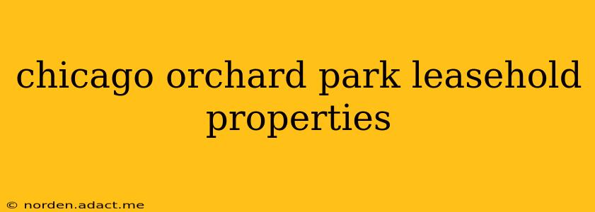 chicago orchard park leasehold properties