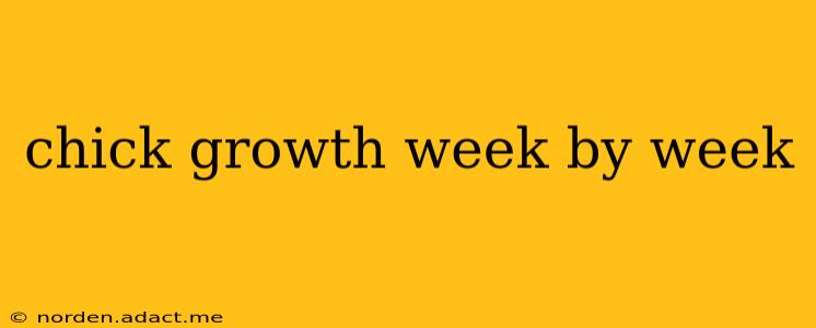 chick growth week by week