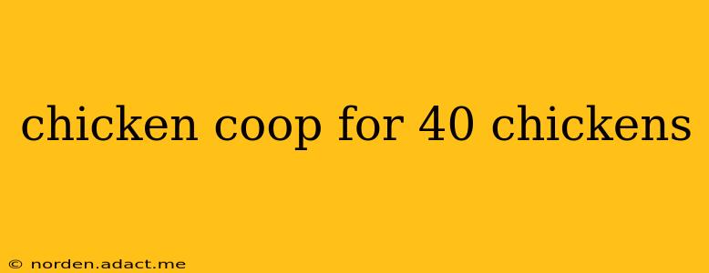 chicken coop for 40 chickens