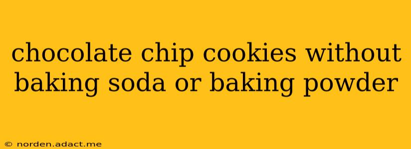chocolate chip cookies without baking soda or baking powder