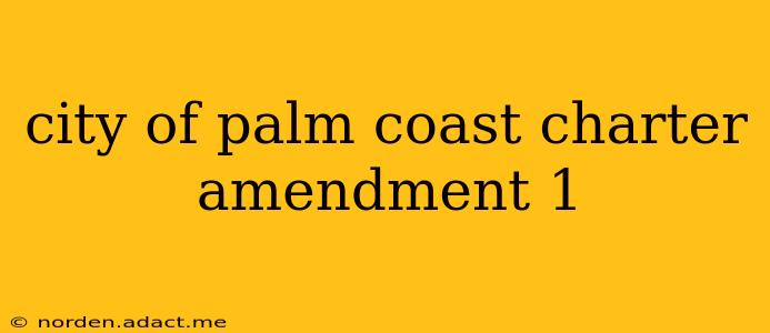 city of palm coast charter amendment 1