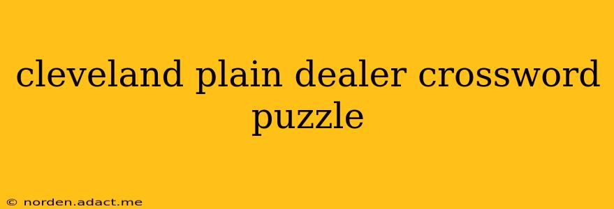 cleveland plain dealer crossword puzzle