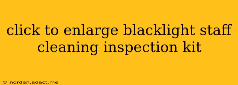 click to enlarge blacklight staff cleaning inspection kit
