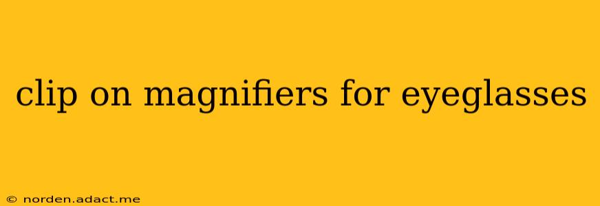 clip on magnifiers for eyeglasses
