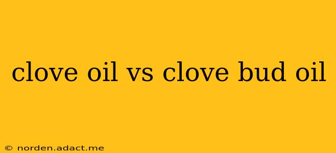 clove oil vs clove bud oil