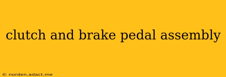 clutch and brake pedal assembly