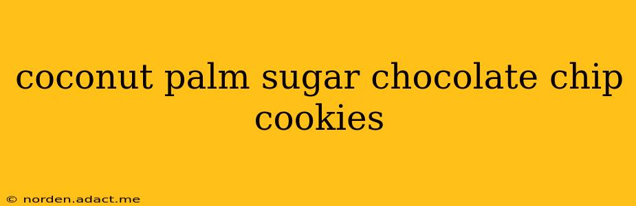 coconut palm sugar chocolate chip cookies
