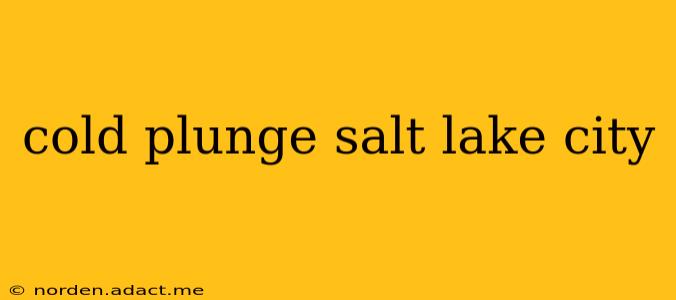 cold plunge salt lake city