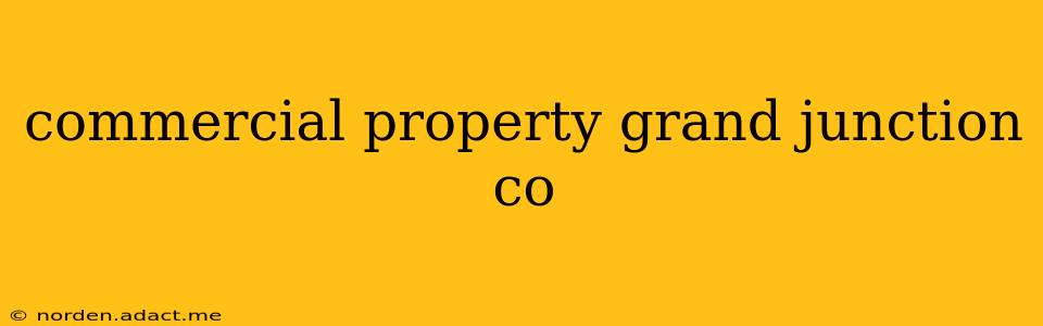 commercial property grand junction co