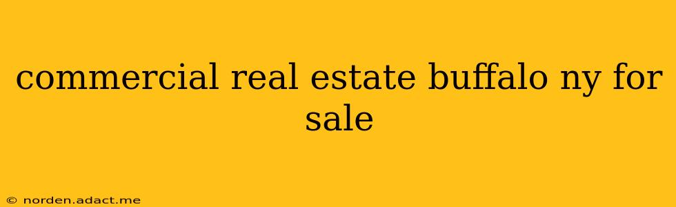 commercial real estate buffalo ny for sale