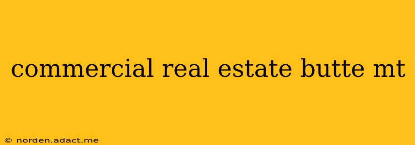 commercial real estate butte mt