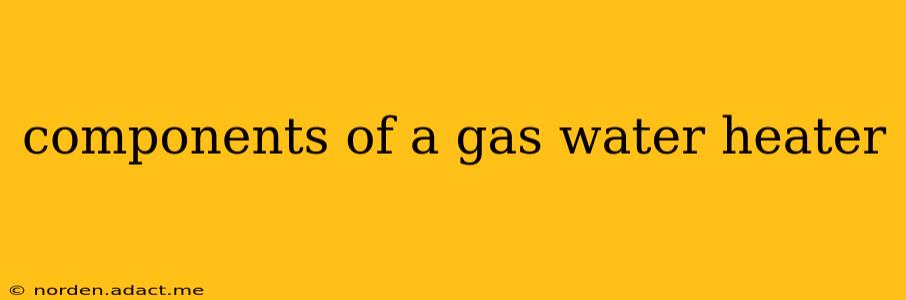 components of a gas water heater