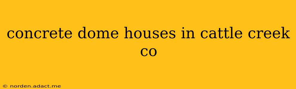 concrete dome houses in cattle creek co