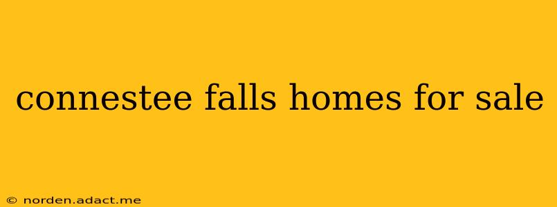 connestee falls homes for sale