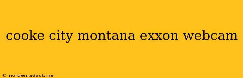 cooke city montana exxon webcam