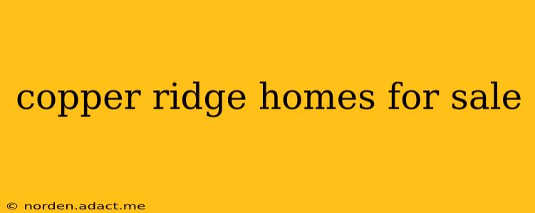 copper ridge homes for sale