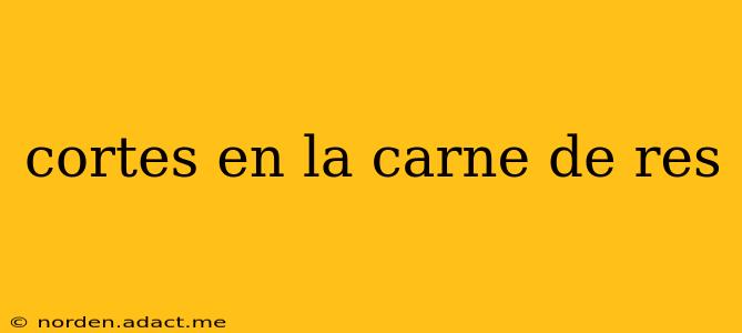 cortes en la carne de res